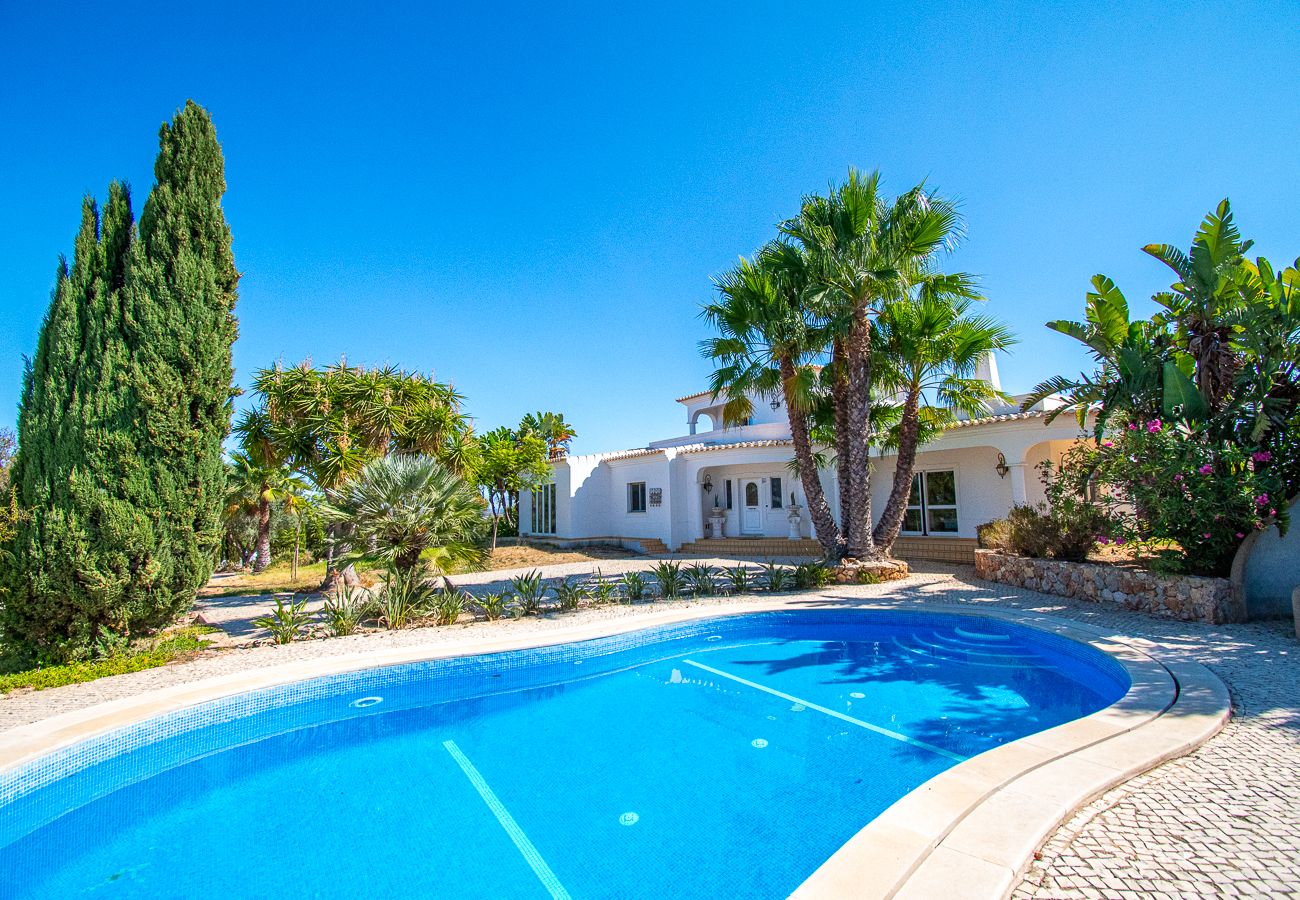 Villa in Carvoeiro - Yoba Horse Farm: Equestrian Retreat