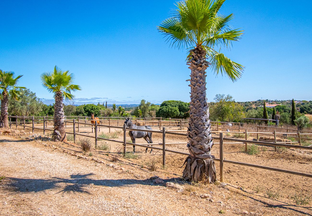 Villa in Carvoeiro - Yoba Horse Farm: Equestrian Retreat