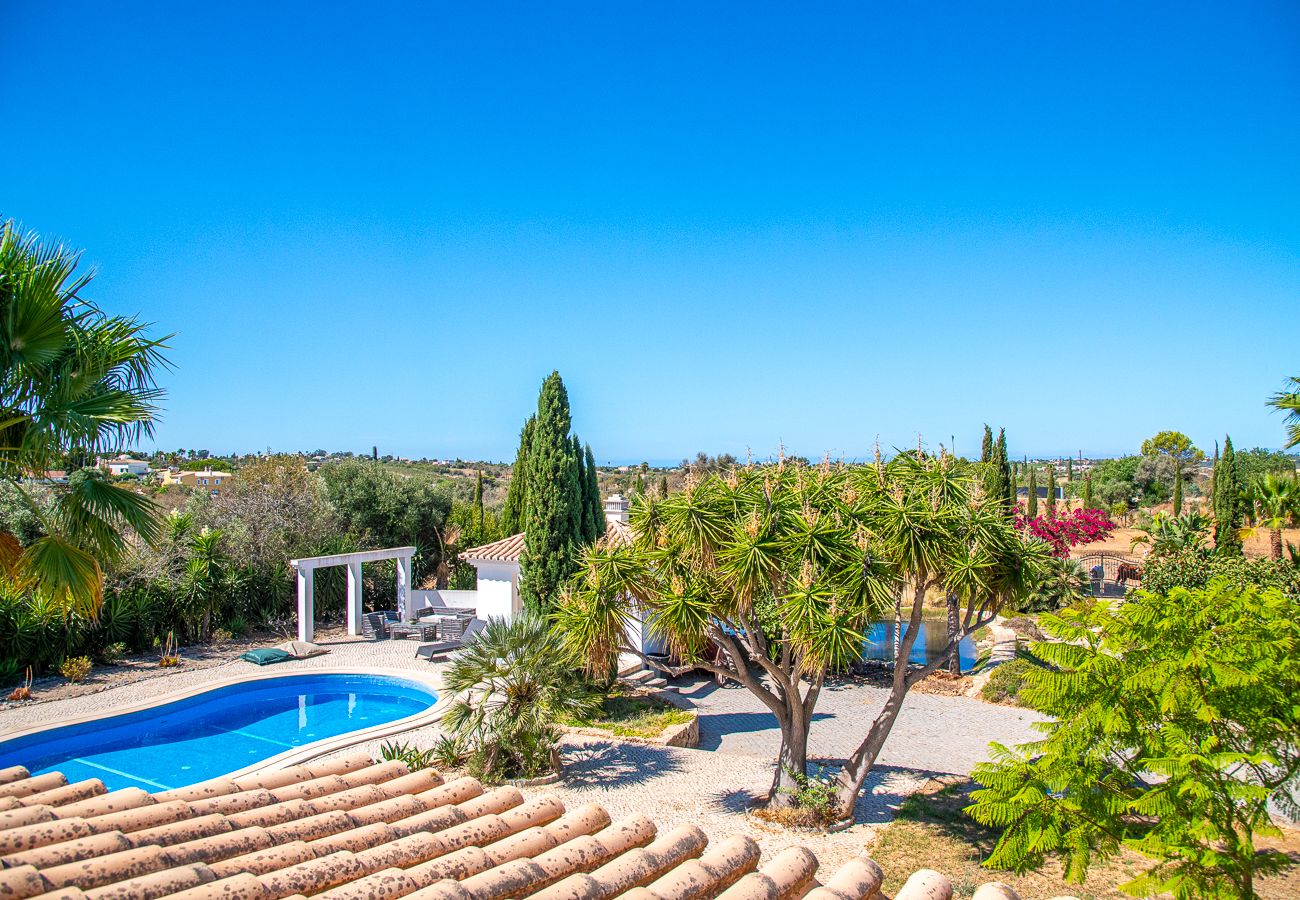 Villa in Carvoeiro - Yoba Horse Farm: Equestrian Retreat